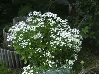 BILD1746.webp