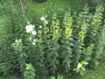 BILD1751.JPG