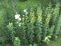 BILD1751.webp