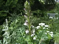 BILD1767.webp