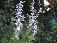 BILD1777.webp