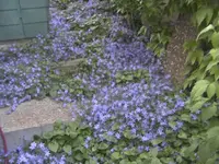 BILD1784.webp