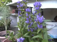 BILD1797.webp
