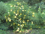 BILD1820.JPG