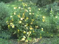 BILD1820.webp