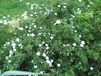 BILD1821.webp