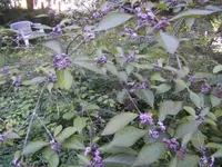 BILD1822.webp