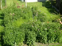 12_07_2020 (1).webp
