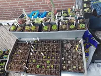 20200712_201712.jpg 20200712_201712.jpg