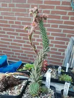 20200712_201718.jpg 20200712_201718.jpg