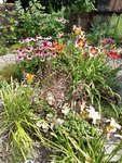20200709_120341.jpg