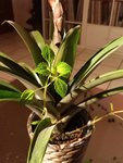 20200712_230427.jpg