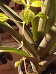 20200712_230421.jpg