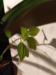 20200712_230341.jpg