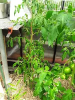 20200714_151322.webp