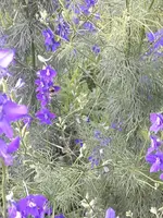 20200714_172418.webp