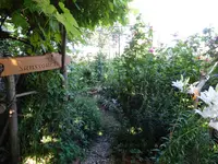 DSC01150.JPG
