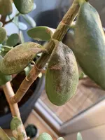 Foto 09.07.20, 20 43 01.webp