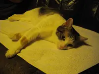 IMGP9661.webp