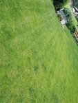 IMG_20200715_141903.jpg