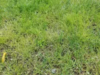IMG_20200715_141823.webp