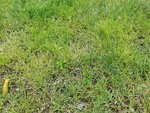 IMG_20200715_141823.jpg
