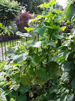 20200716_100829.webp