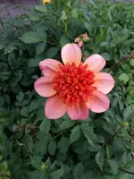 20200714_175104.webp