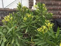 IMG_20200716_125711_292.webp IMG_20200716_125711_292.webp