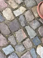 IMG_20200716_125714_463.webp IMG_20200716_125714_463.webp