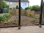 IMG_20200605_165319.jpg