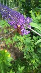 20200716_111539.jpg