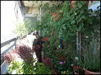 c034.webp