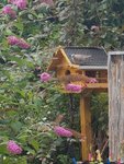 20200717_134226.jpg