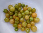 P1010258.JPG