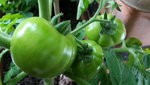 20200717_193448.jpg