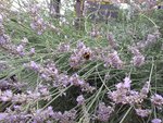 20200717_175341.jpg