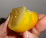 Bicolor oder nicht.JPG