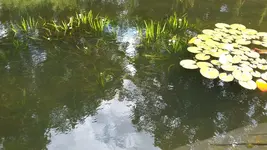 20200717_155951.jpg