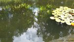 20200717_155951.jpg