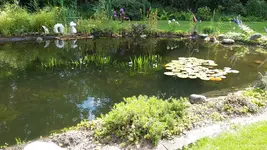 20200717_155740.jpg