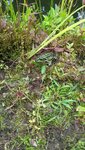 20200717_152638.jpg