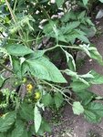 IMG_5204.JPG