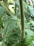 IMG_5215.JPG