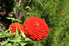 060.webp