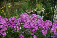 comp_DSC09182.webp