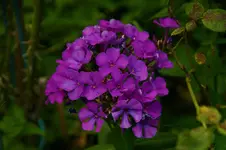 DSC091841.webp