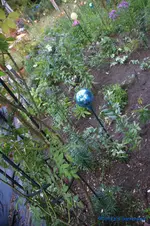 comp_DSC09187.webp