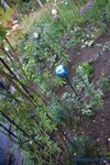 comp_DSC09187.jpg