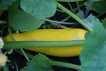 comp_DSC09191.jpg